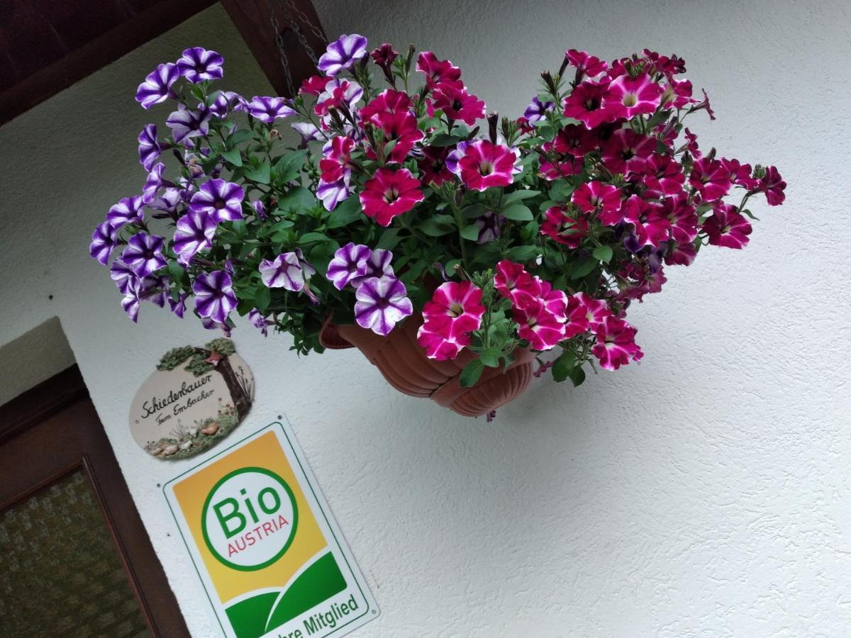 Bio-Bauernhof Schiederhof Apartment Fusch an der Grossglocknerstrasse Exterior foto
